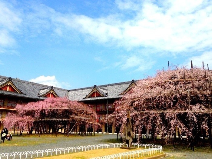 ファイル 397-4.jpg