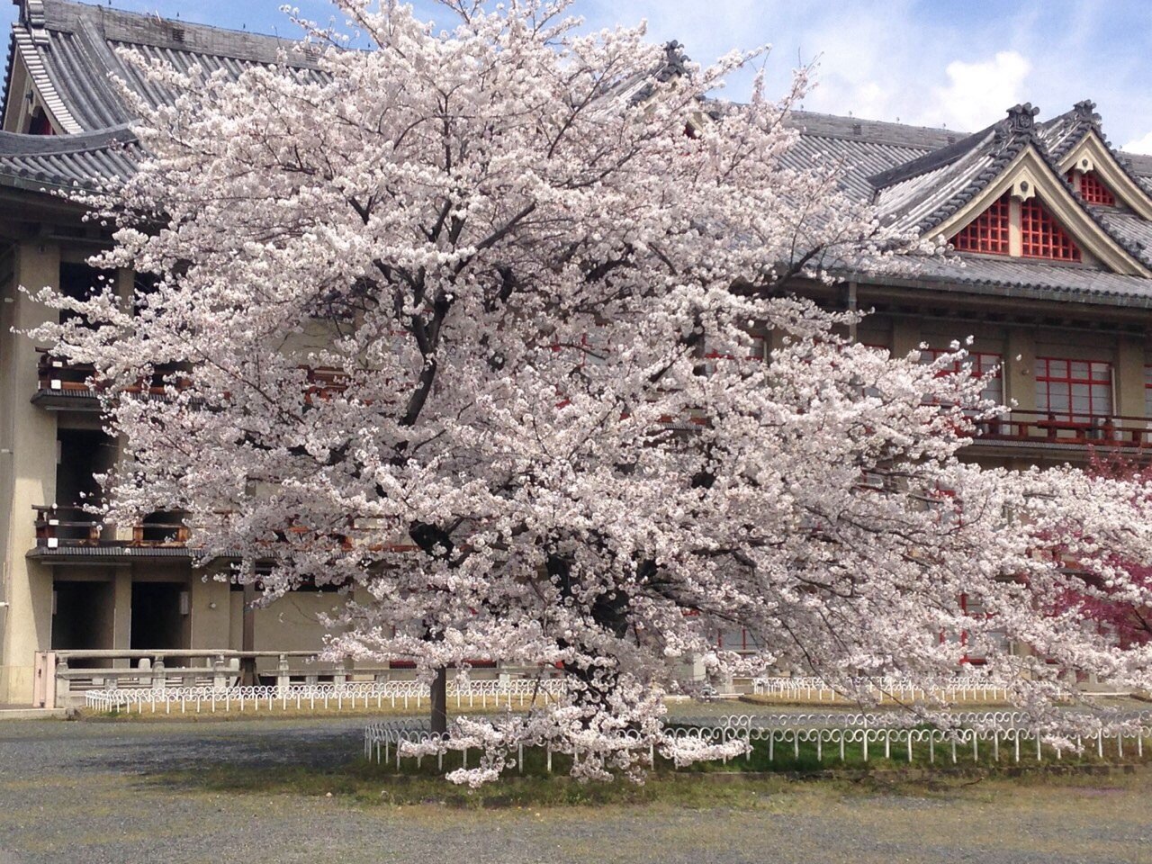 ファイル 397-5.jpg