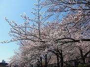 ファイル 40-3.jpg