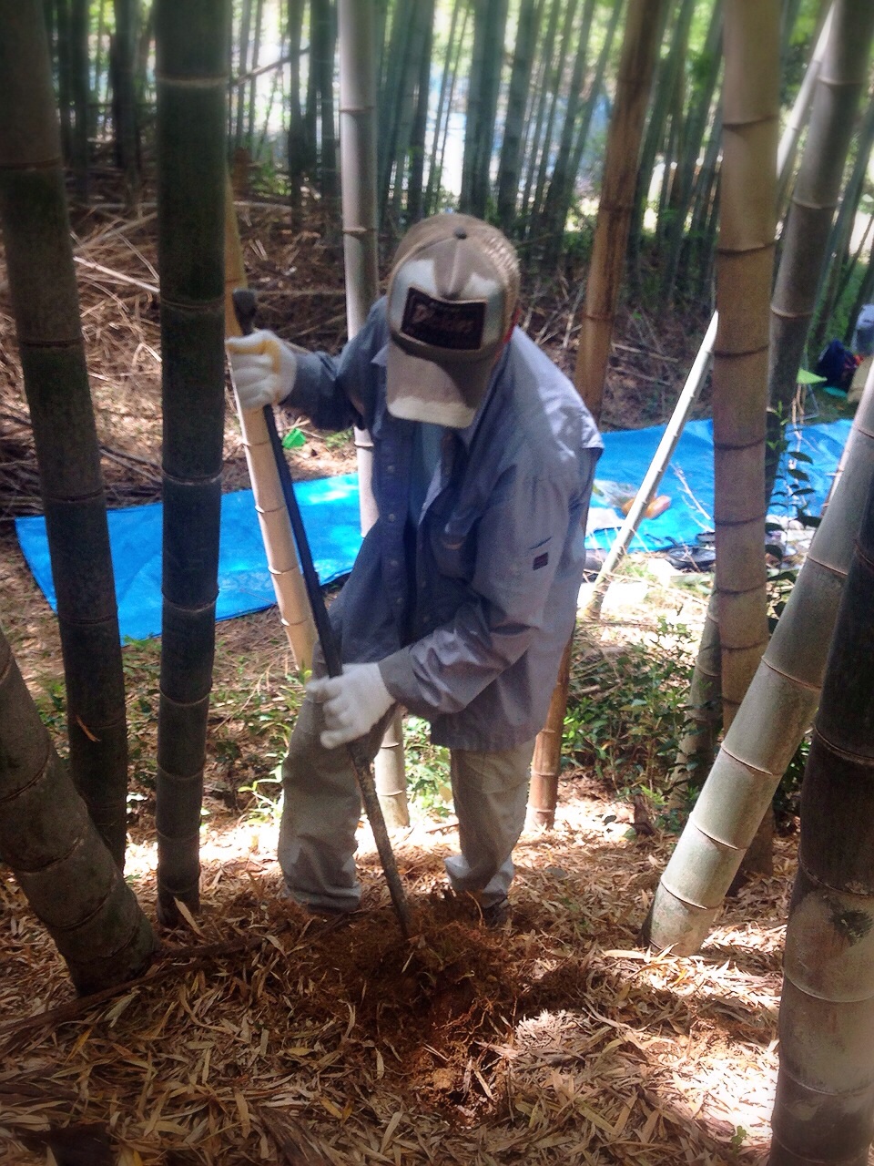 ファイル 407-5.jpg