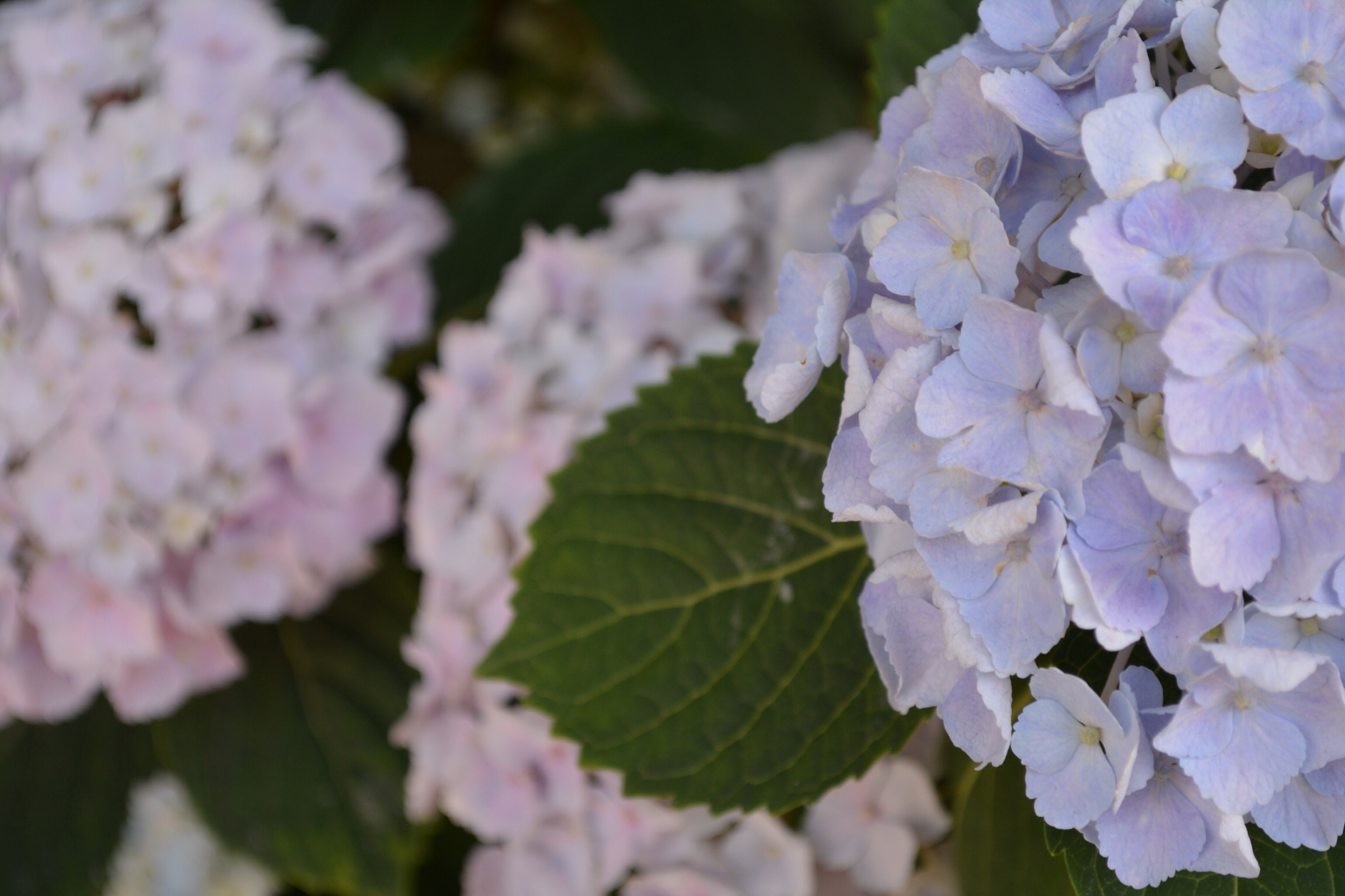 ファイル 411-1.jpg