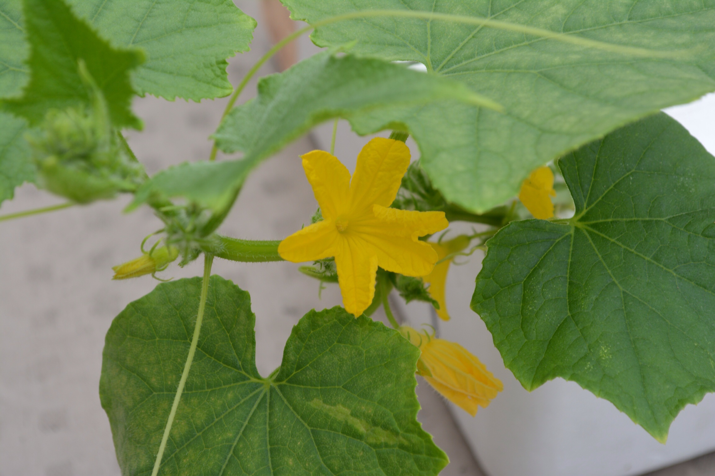 ファイル 412-3.jpg