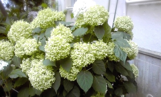 ファイル 414-1.jpg