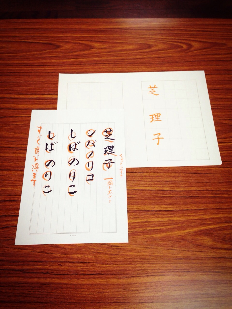 ファイル 426-2.jpg