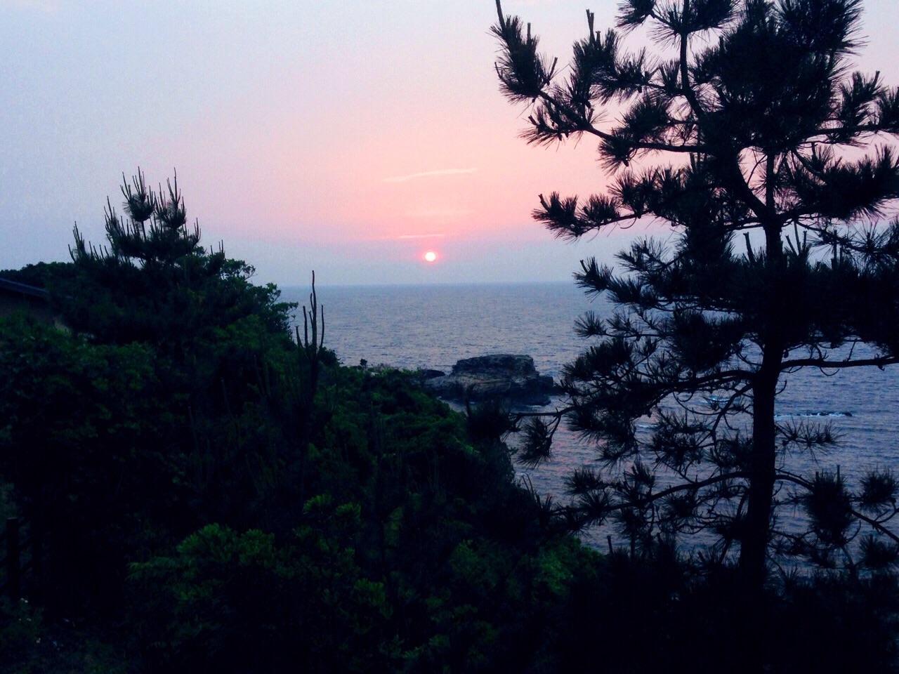 ファイル 447-3.jpg