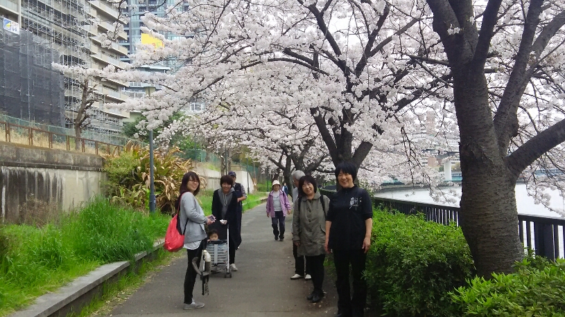 ファイル 481-1.jpeg