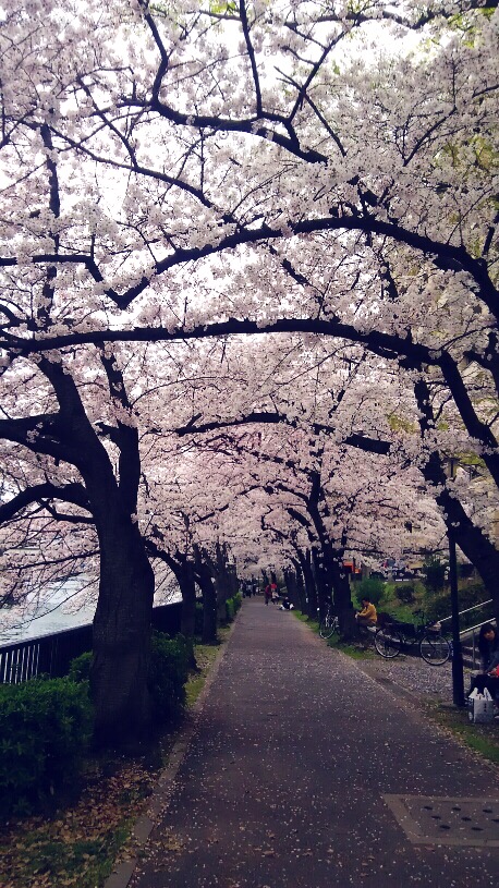 ファイル 481-2.jpeg