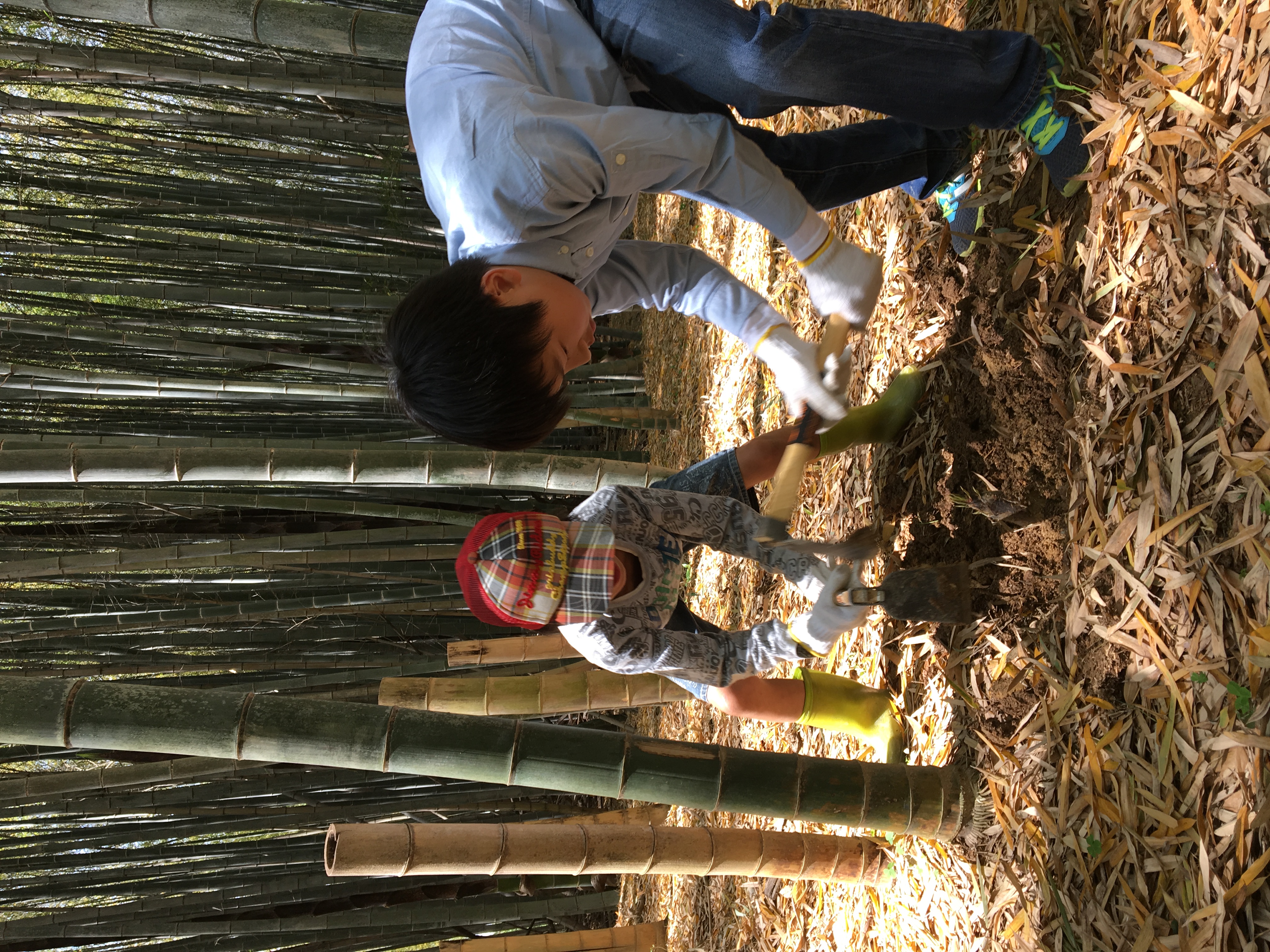 ファイル 484-2.jpeg