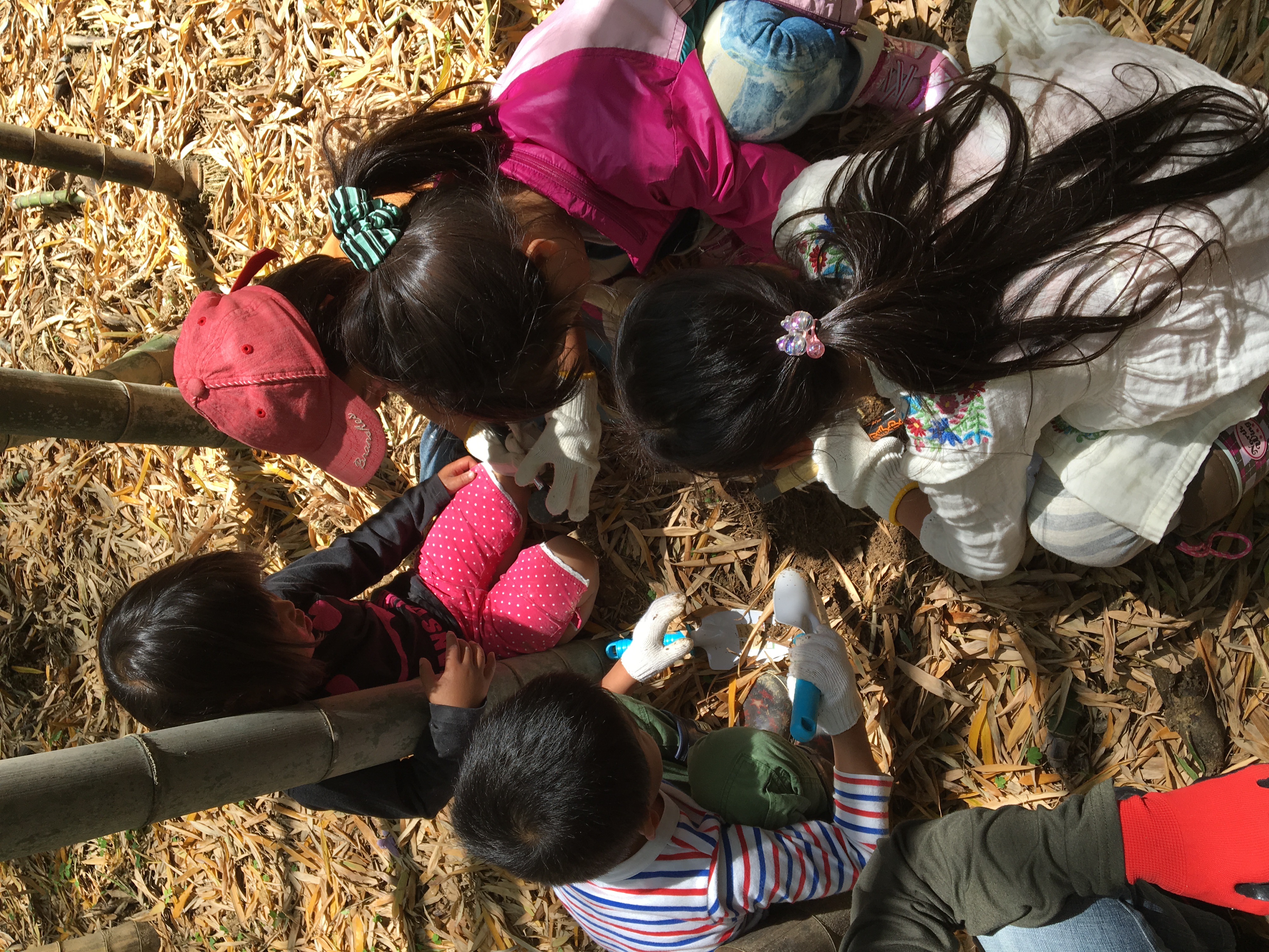 ファイル 484-3.jpeg