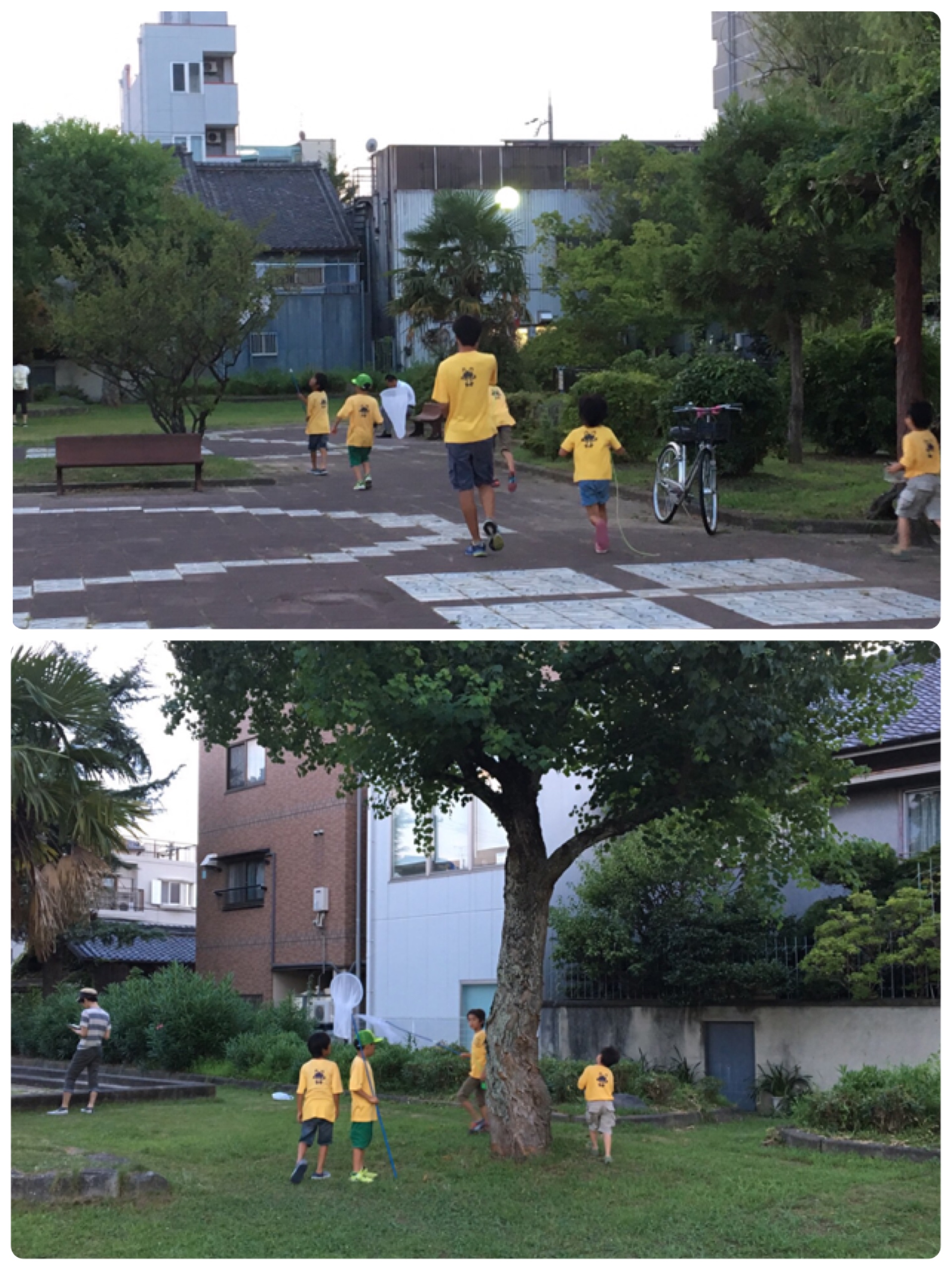 ファイル 504-5.jpg