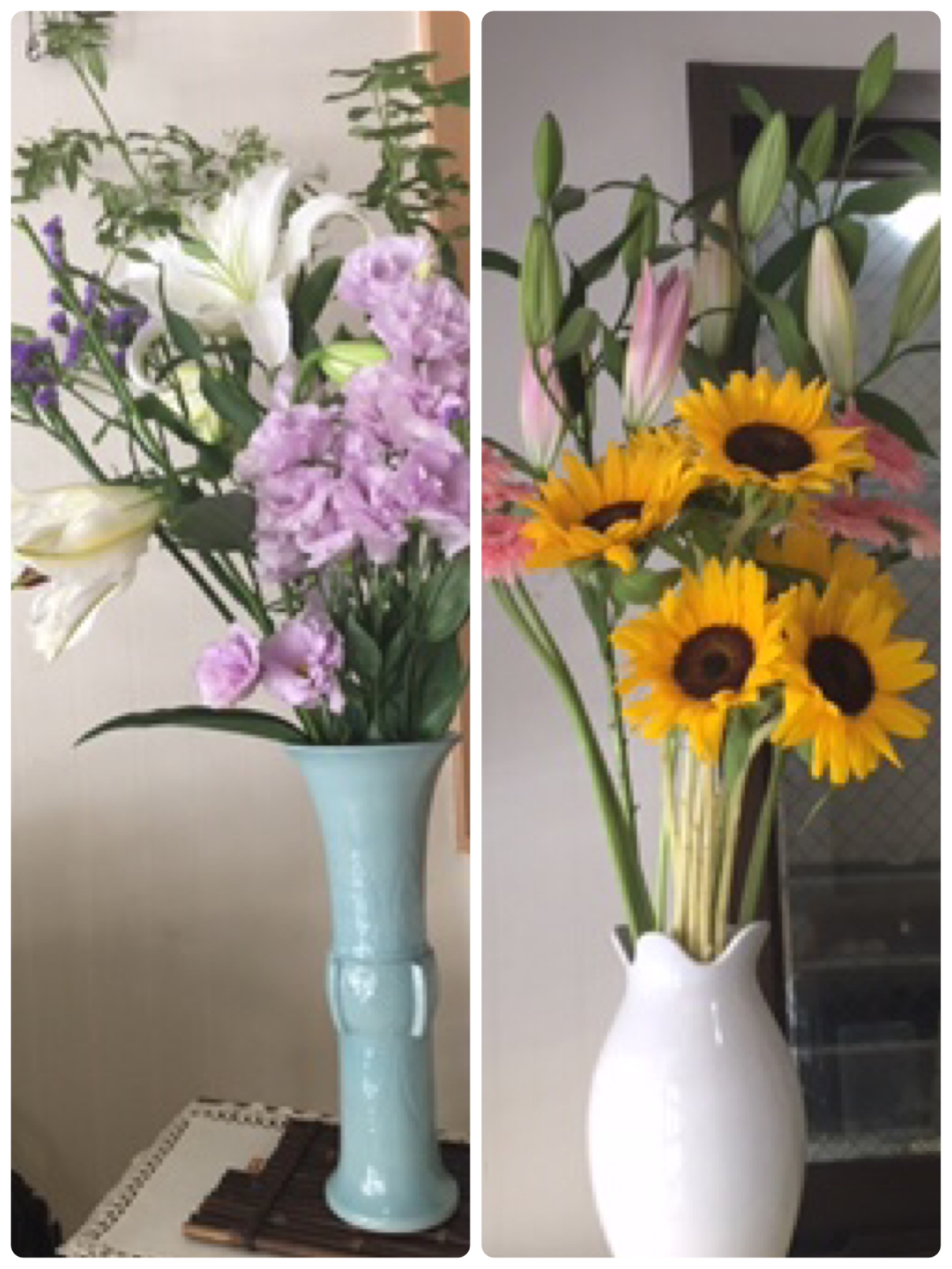 ファイル 515-1.jpg