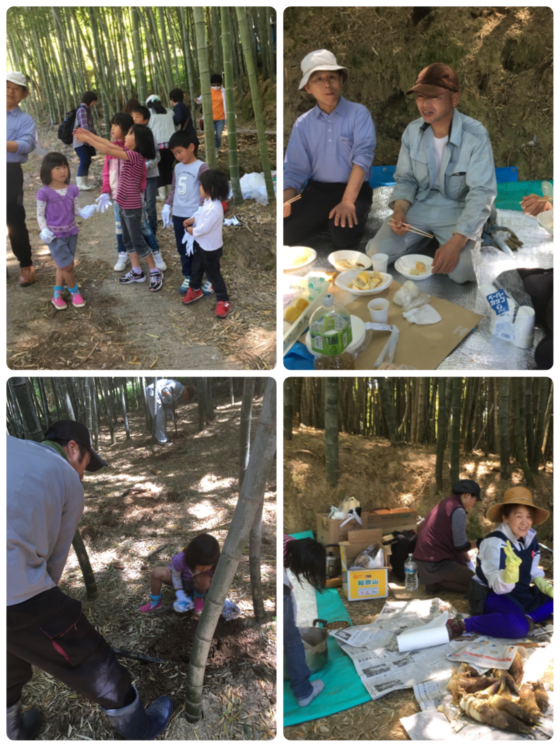 ファイル 516-1.jpg