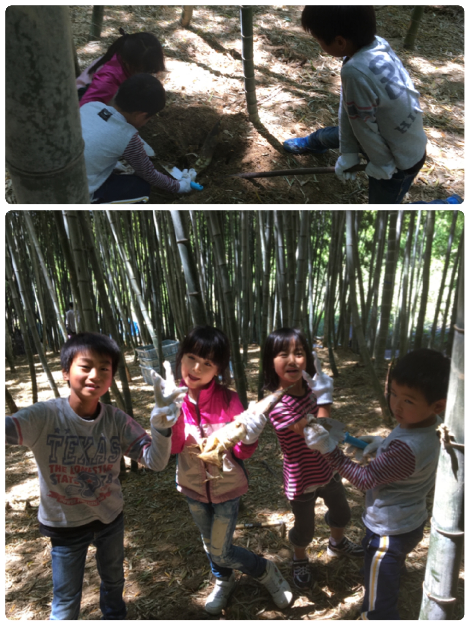 ファイル 516-3.jpg