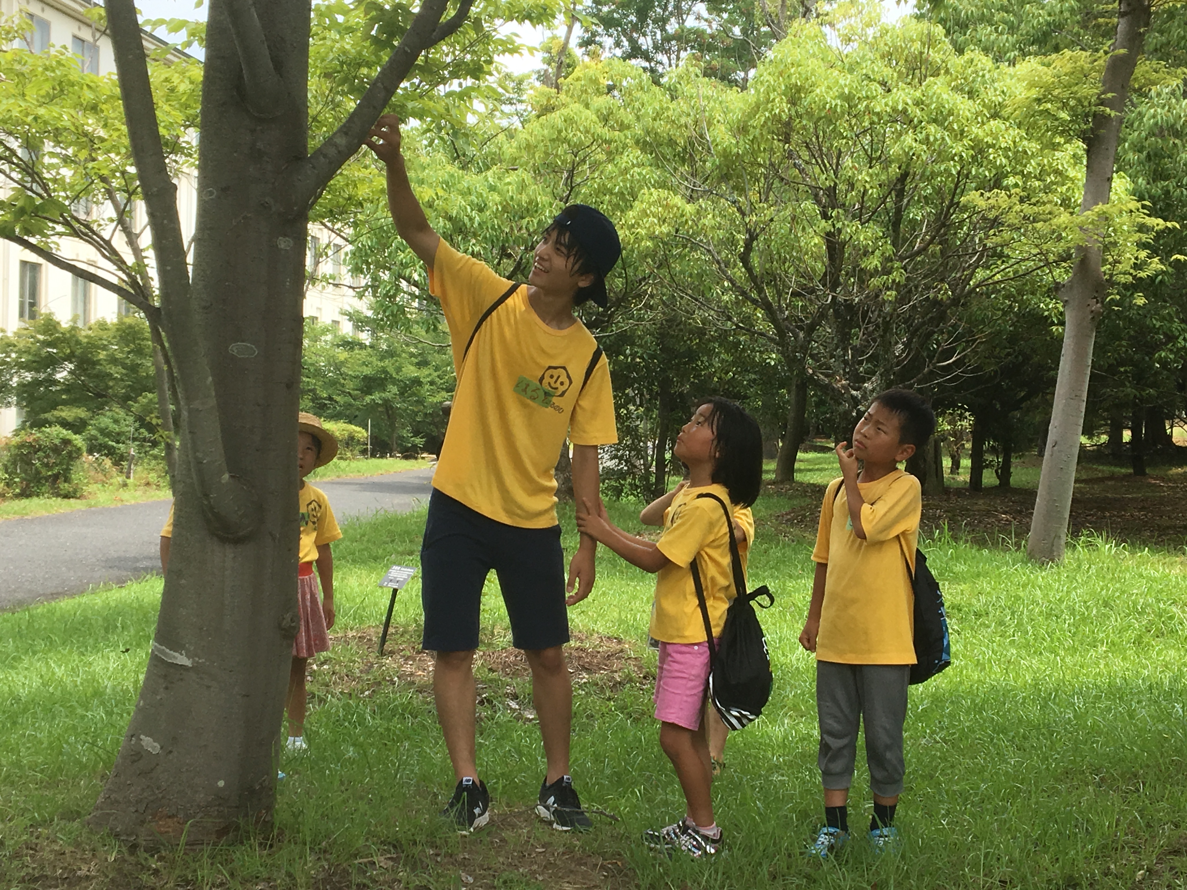 ファイル 520-5.jpeg