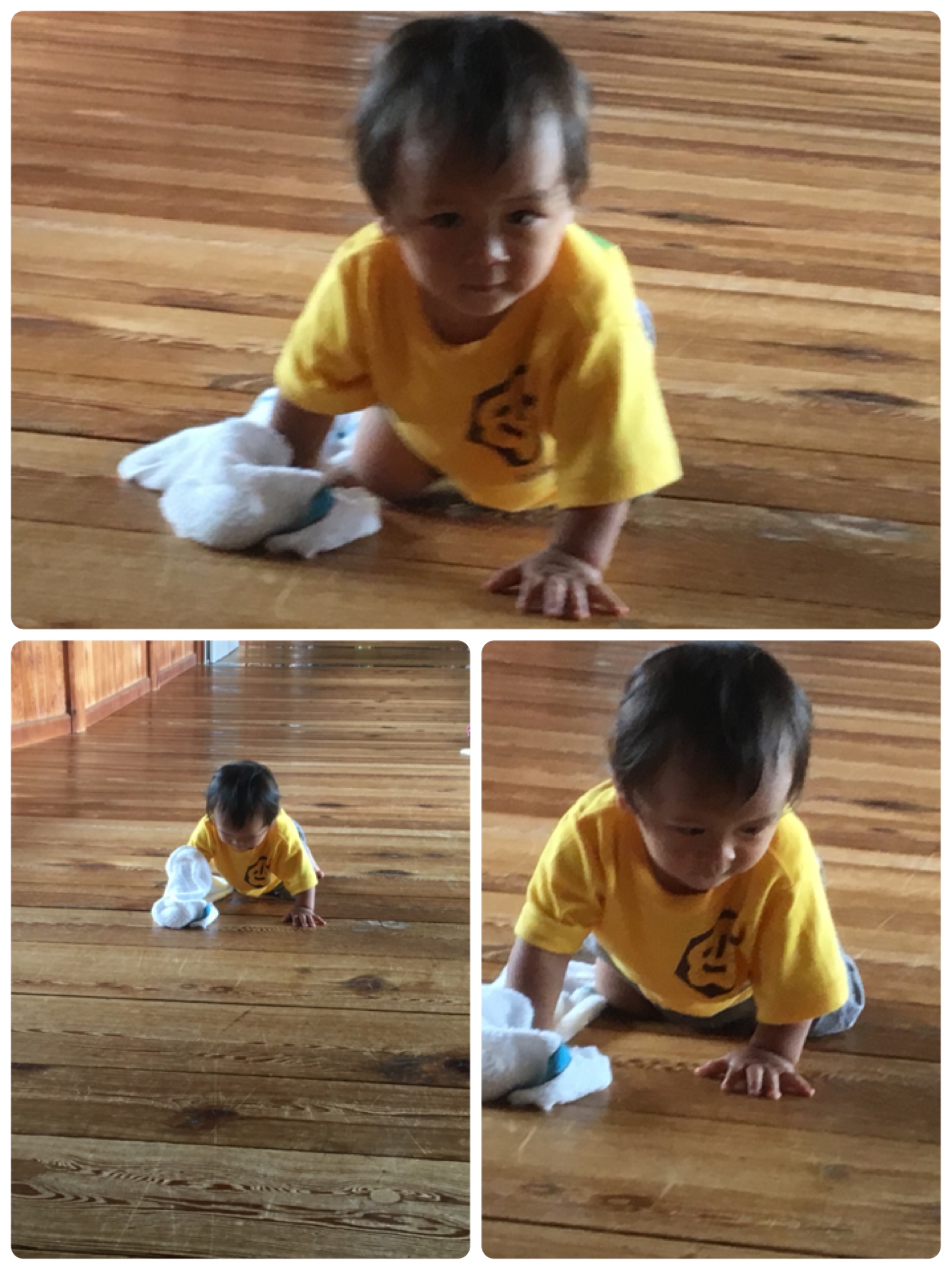 ファイル 521-4.jpeg