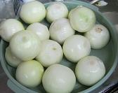 ファイル 66-1.jpg