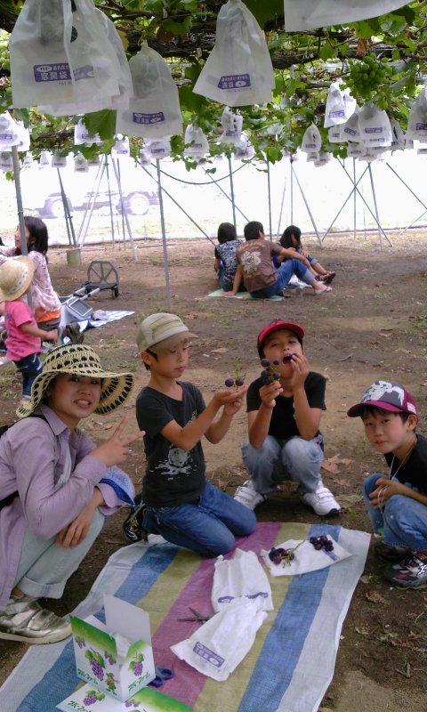 ファイル 8-4.jpg