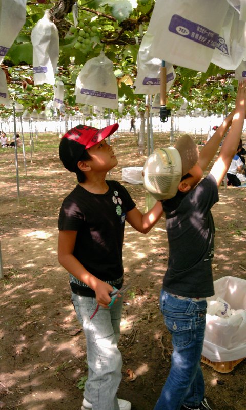 ファイル 8-5.jpg